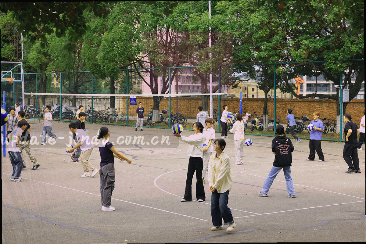 扁平风格场景拼贴，办公电脑、门店收银终端、学校机房设备与政务窗口并列排布，线条圆润